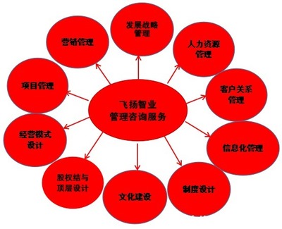 管理咨詢服務哪家強？專業信息咨詢機構的選擇與考量